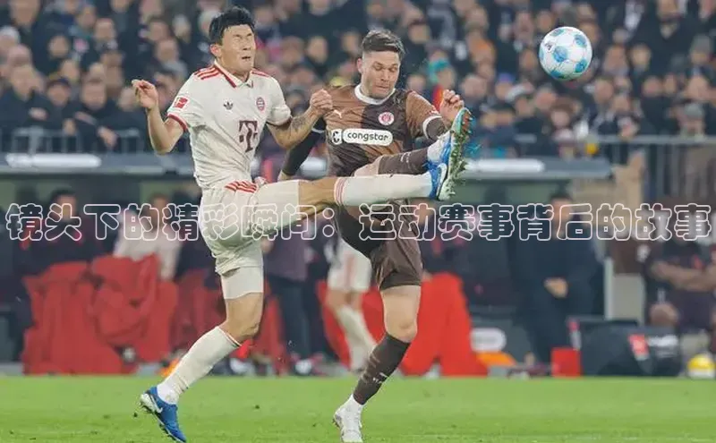 威廉希尔足球网