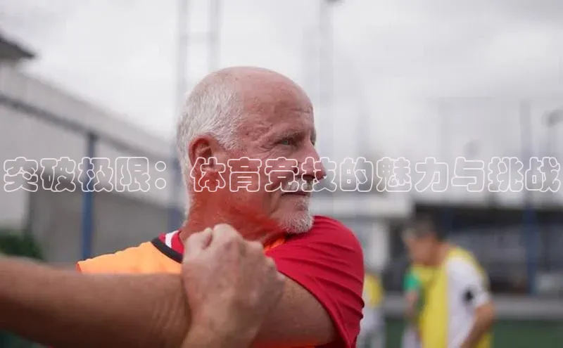 威廉williamhill官网在线登录