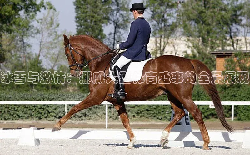 williamhill英国威廉希尔