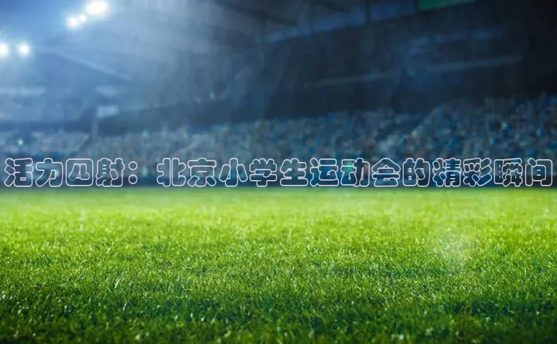 williamhill官网登录入口
